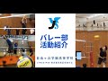 バレーボール部の紹介動画はこちら